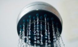 shower head