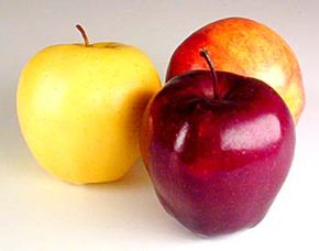 Not all apples are created equal but all are healthy and delicious. See more pictures of apples.