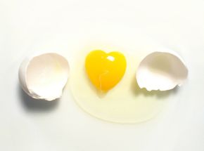 An egg with its shell cracked in half