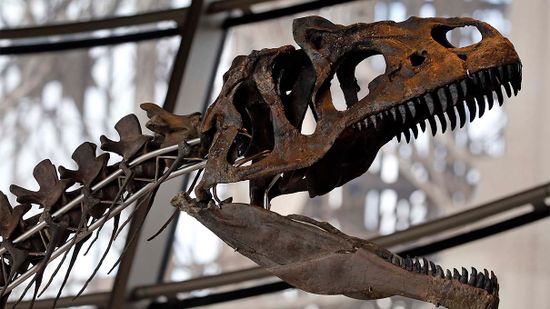 How Deinonychus Upended the Way We Look at Dinosaurs