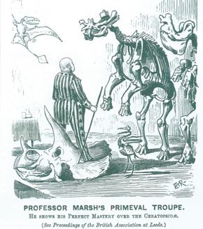 《潘趣》中马什的漫画，1890年＂border=
