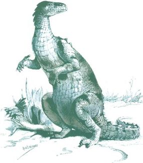 Early drawing (1895) of an Iguanodon