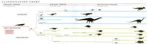 Classification Chart of Dinosaurs