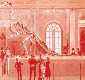 1883年，布鲁塞尔博物馆展出的禽龙骨架。马德里古生物学家Jose Luis Sanz和他的同事在西班牙发现了禽龙。＂border=
