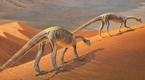 Massospondylus, prosauropods that lived during the Early Jurassic