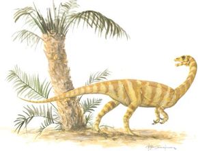 Anchisaurus polyzelus＂width=