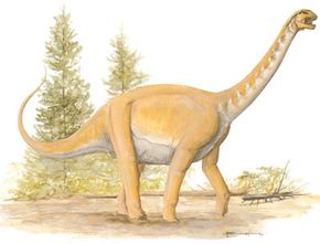 Barapasaurus Tagorsi“width=