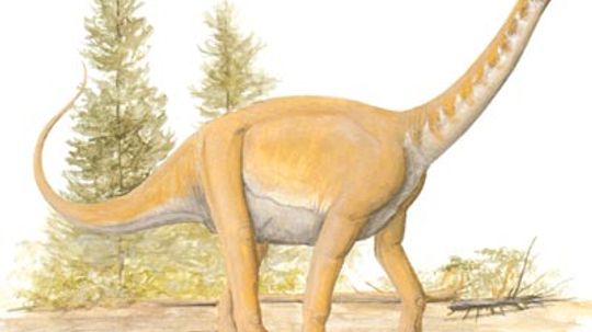 Barapasaurus