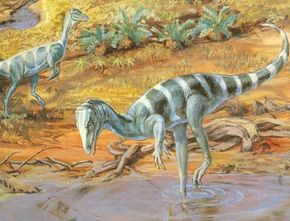 Coelophysis, found in Ghost Ranch, New Mexico