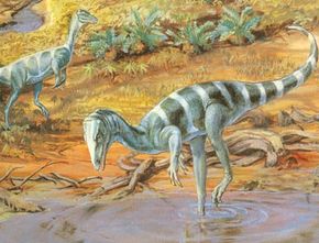 Coelophysis”border=