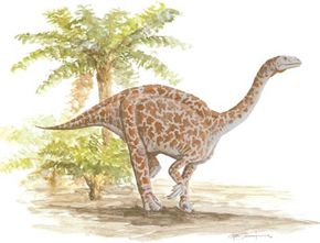 Lufengosaurus huenei