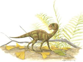 Mussaurus patagonicus juvenile