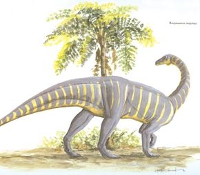 Riojasaurus incertus