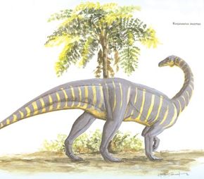 Riojasaurus incertus”width=