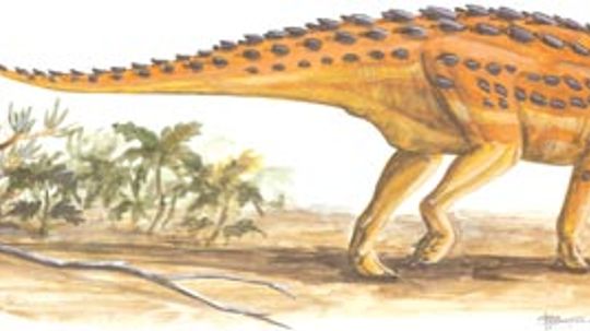 Scelidosaurus”border=