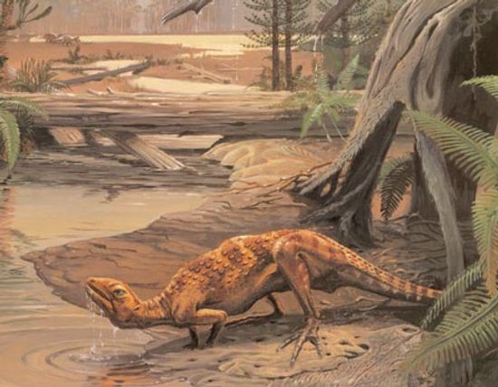 Scutellosaurus”class=