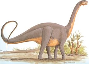 Datousaurus bashanensis”width=