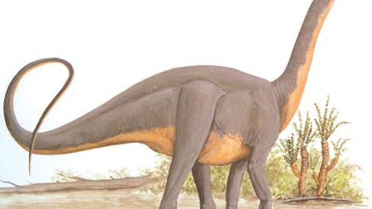 Datousaurus