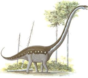Omeisaurus tianfuensis, Family Euhelopodidae