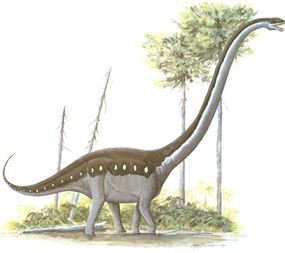 Omeisaurus tianfuensis、家庭Euhelopodidae”border=