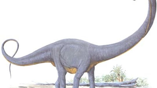 Supersaurus