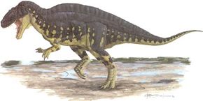 Acrocanthosaurus atokensis”width=