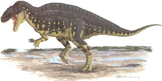 Acrocanthosaurus”class=