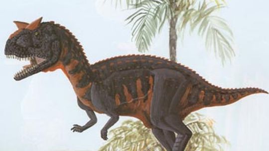 Carnotaurus”border=