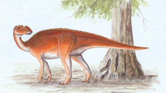 early cretaceous dinosaurs