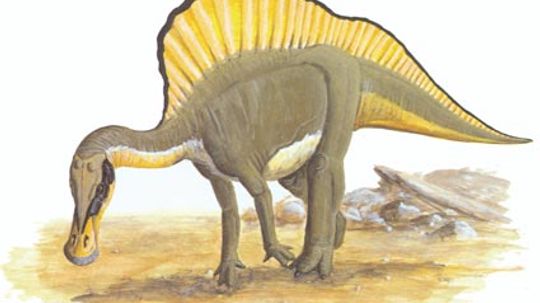 Ouranosaurus”border=