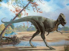 这只霸王龙Daspletosaurus一样。看到更多的恐龙的图片。”width=