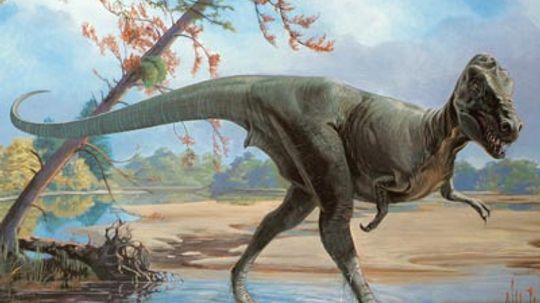 Daspletosaurus