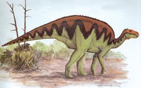 Bactosaurus johnsoni。查看更多恐龙图片。＂width=