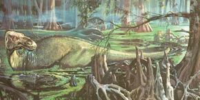 The duckbilled dinosaur Edmontosaurus wades through a swamp searching for food. The duckbilled dinosaurs had the most efficient jaws for chewing plants, and they became the most successful plant-eaters. See more dinosaur images.