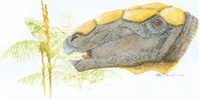 Denversaurus schlessmani See more dinosaur images.