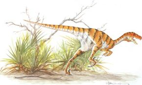 Dromaeosaurus albertensis See more dinosaur images.