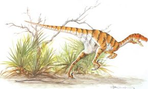 Dromaeosaurus albertensis看到更多恐龙的图片。”width=