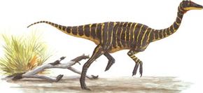 Garudimimus brevipes See more dinosaur images.