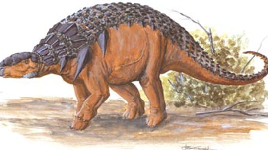 Panoplosaurus”width=