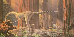 Dromiceiomimus”width=