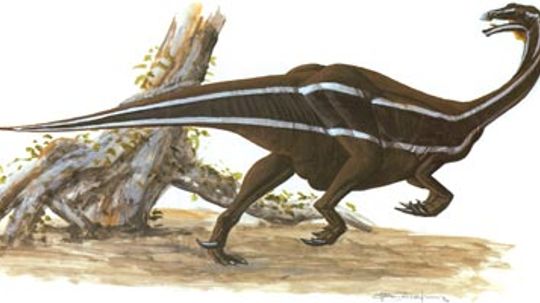 Segnosaurus