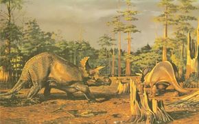 Triceratops lived until the end of the Cretaceous Period
