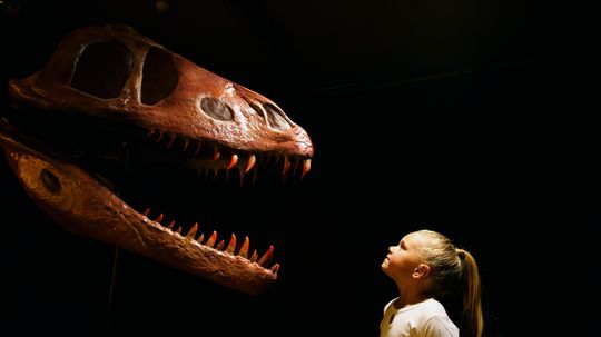 Could dinosaurs still be alive somewhere?