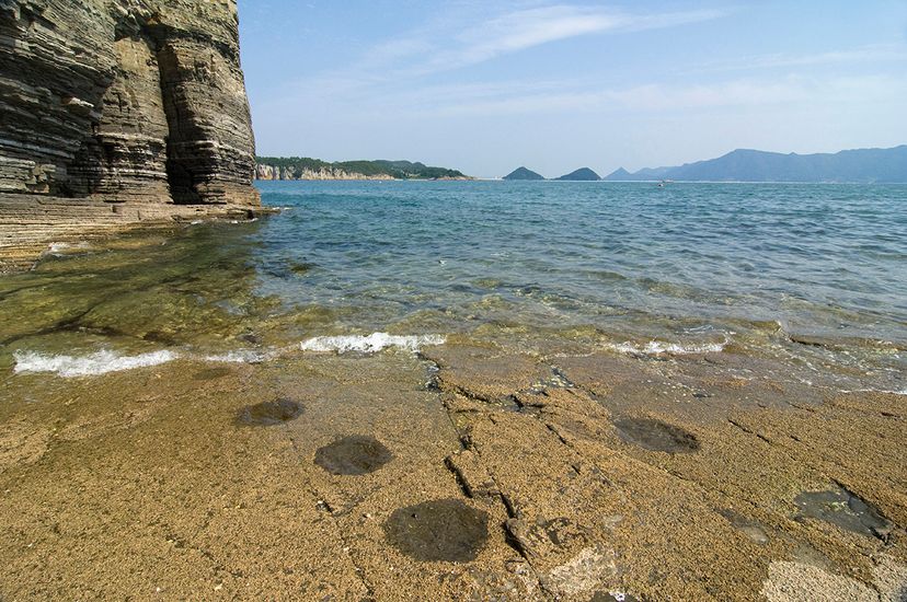 恐龙足印在水”border=