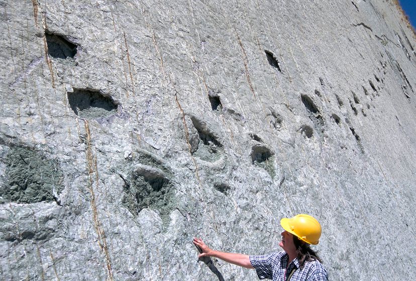 dinosaur footprints on wall in bolivia