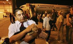 Though these pets were separated from their owners during Hurricane Katrina, they were lucky enough to be airlifted to Los Angeles. What would happen to your pet during a disaster?