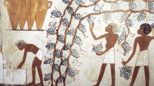 How did people discover wine?