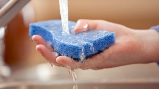Can you disinfect kitchen sponges?