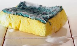 Your sponge is a breeding ground for bacteria. Don't let it fester.