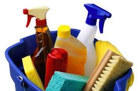 Dispose of toxic household chemicals safely